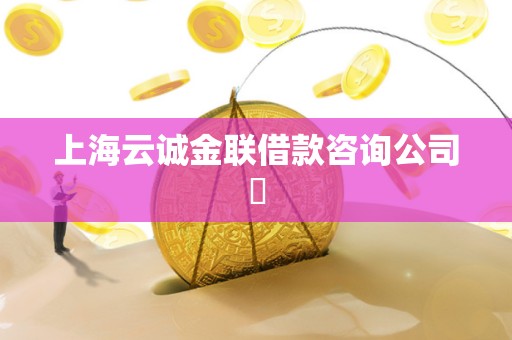 上海云诚金联借款咨询公司​