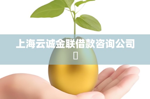 上海云诚金联借款咨询公司​