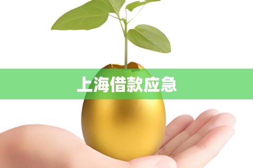 上海借款应急
