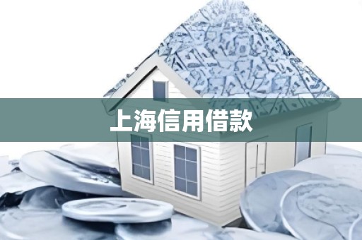 上海信用借款