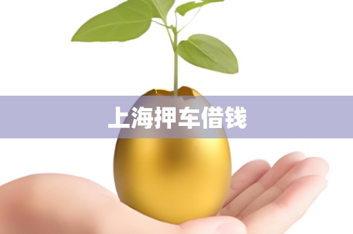 上海押车借钱