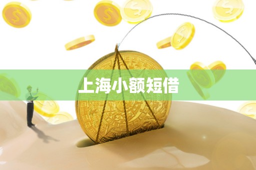 上海小额短借