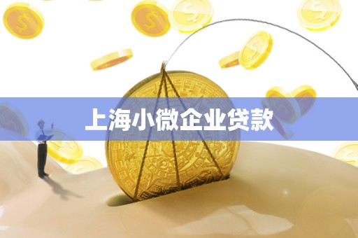 上海小微企业贷款