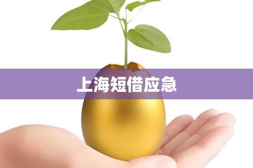 上海短借应急