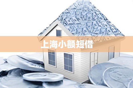 上海小额短借